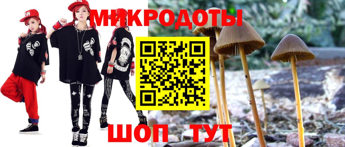 Псилоцибиновые грибы Psilocybine cubensis Калуга