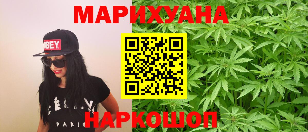 Бошки марихуана планчик  Конопля план  Марихуана планчик  Вход с VPN  Калуга 